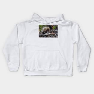 Echidna Encounter Kids Hoodie